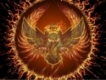 user picture2
